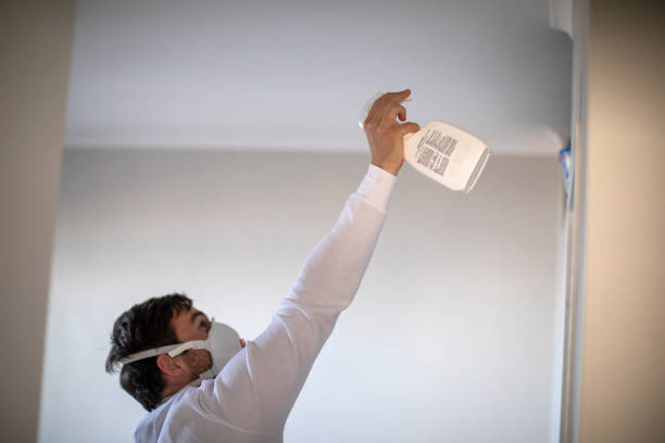 Best Commercial Mold Removal  in Maroa, IL