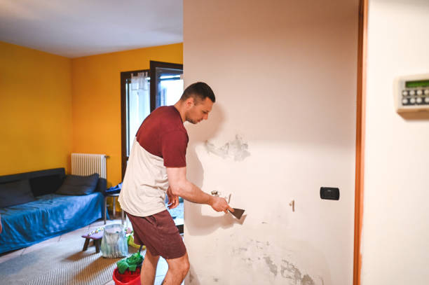 Best Professional Mold Removal  in Maroa, IL